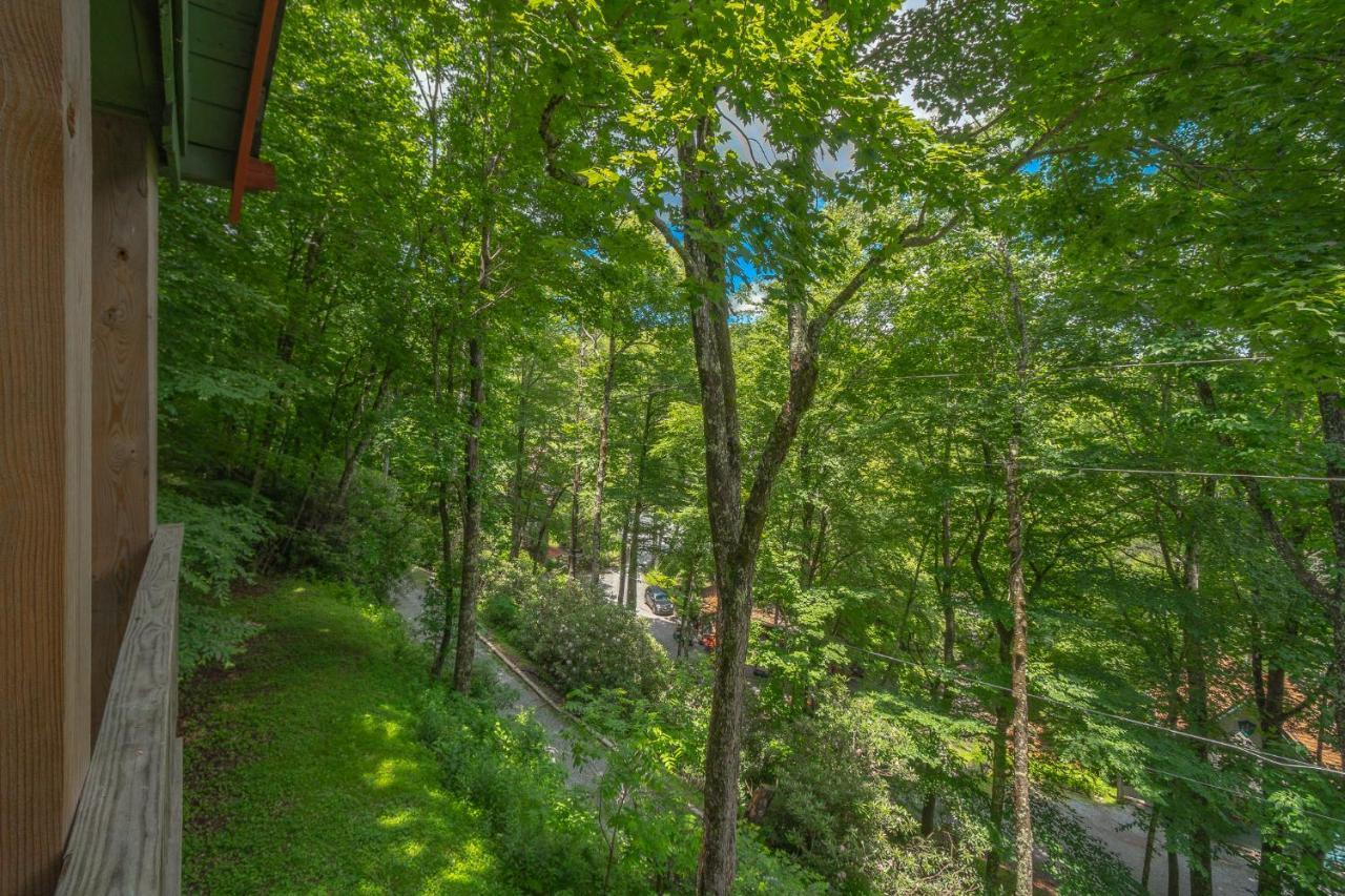 Swiss Mountain Village Blowing Rock Exterior foto